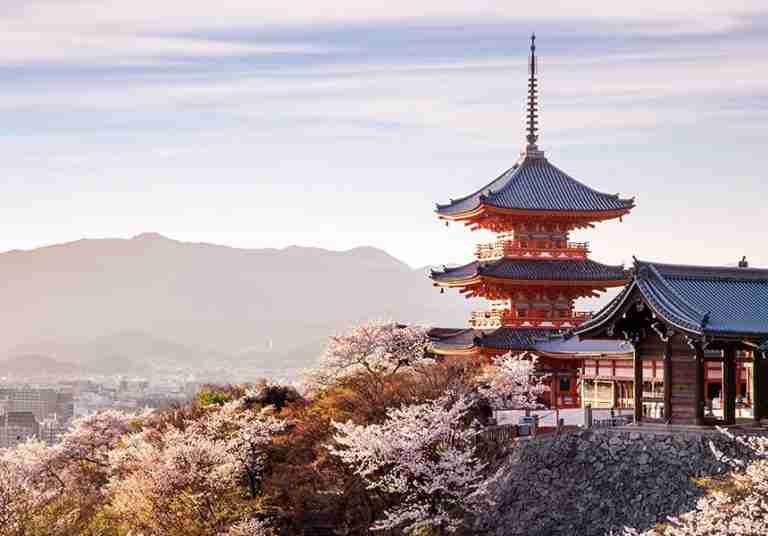 kiyomizudera temple Best time to visit Kyoto for cherry blossoms